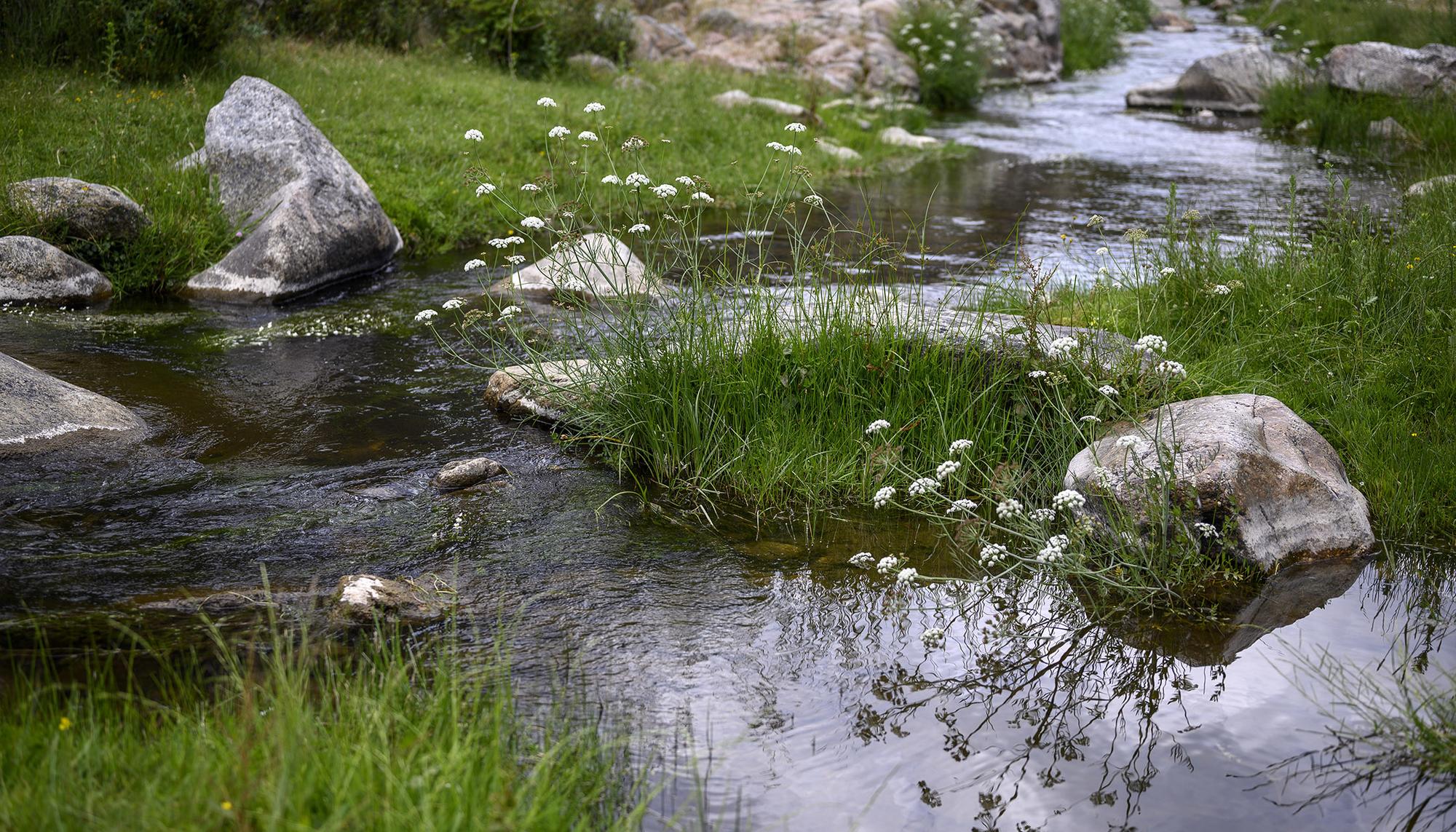 Río pesca